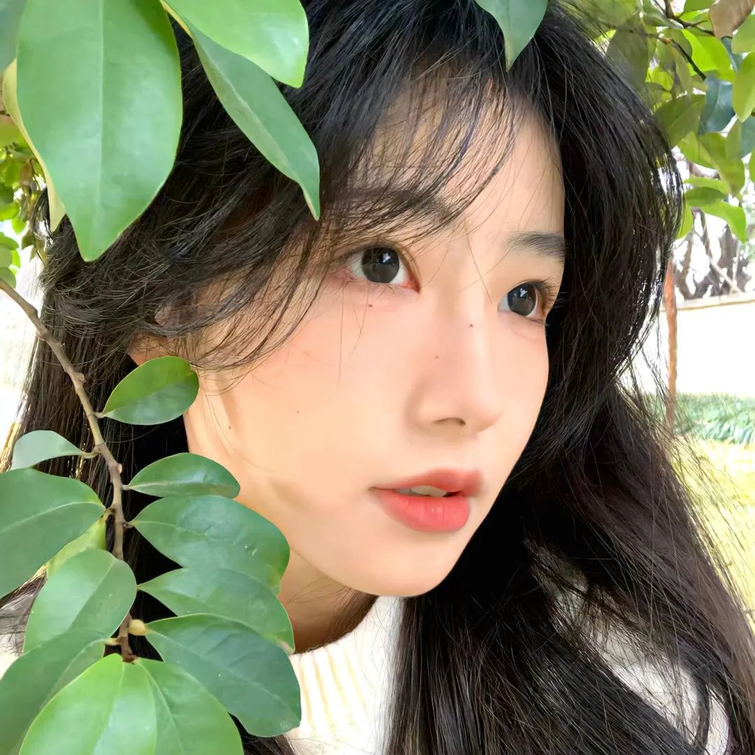 哈儿传奇
